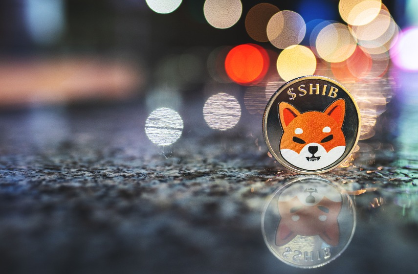 Should you buy Shiba Inu (SHIB/USD) as whale accumulation intensifies?