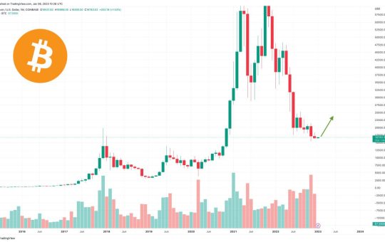 Bitcoin Price Forecasts For 2023 Are In and Here’s What The Bulls and Bears Think