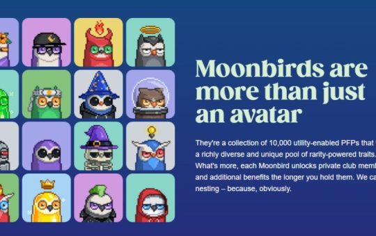 Moonbirds NFT Creator Loses $1 Million Almost Instantly After Wallet Hack – Here’s What Happened