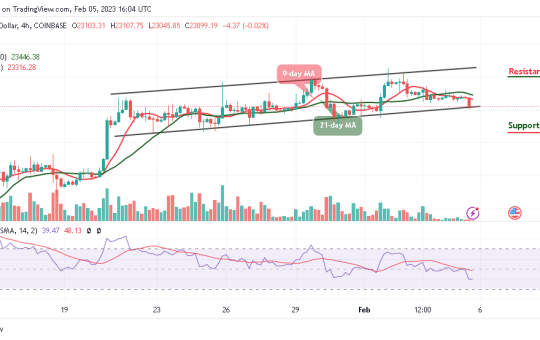 Bitcoin Price Prediction for Today, February 5: BTC/USD At Risk of Downside as Price Hits $23,000