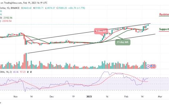 Bitcoin Price Prediction for Today, February 19: BTC/USD Skyrockets to $25,000; Price Could Go Higher