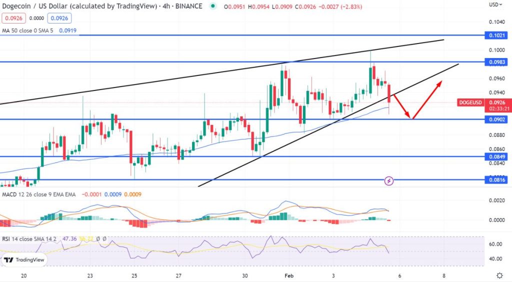 Dogecoin Price Prediction as Popular Crypto Trader Predicts 50% Move Up – Time to Buy?