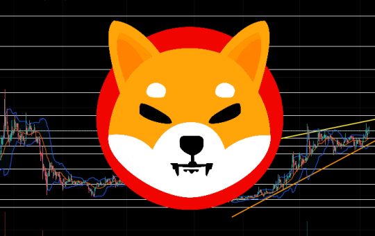 Is it Too Late to Buy Shiba Inu? Crypto Experts Give Their SHIB Price Predictions