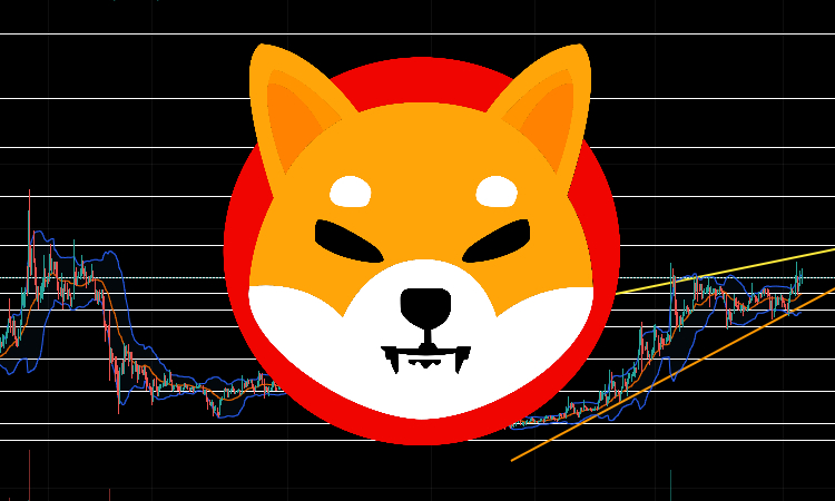 Is it Too Late to Buy Shiba Inu? Crypto Experts Give Their SHIB Price Predictions