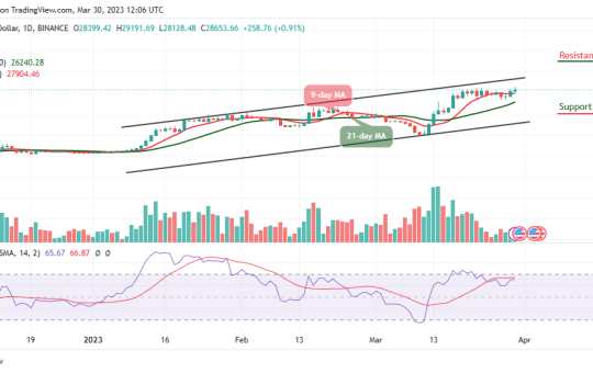 Bitcoin Price Prediction for Today, March 30: BTC/USD Bounces Above $29,000 Level