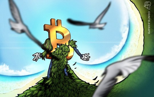 Greenpeace war on Bitcoin unintentionally spawns ‘badass’ new mascot