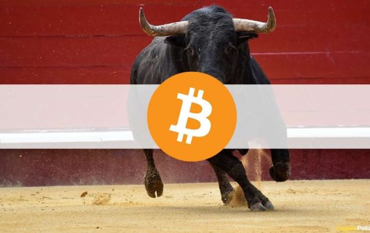 Bitcoin Hodl Patterns Indicate Cycle Shift to Bull Market