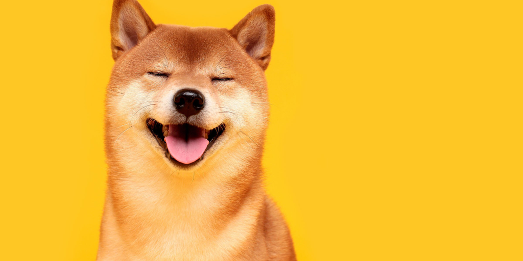 This Week on Crypto Twitter: Musk Goes Full Dogecoin, Pumping the Memecoin