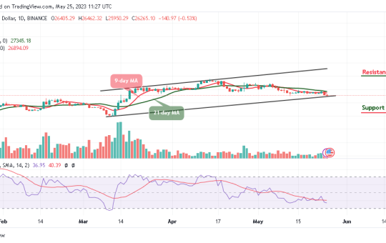 Bitcoin Price Prediction for Today, May 25: BTC/USD Falls 0.53% to $25,950 Support