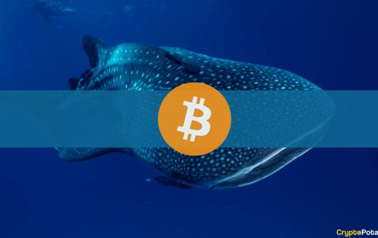 Bitcoin Whale Address Activates After Decade, Transfers $37.8M Worth of BTC