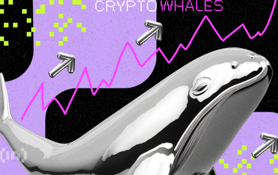 What Crypto Whales are Buying for Potential Gains in June 2023