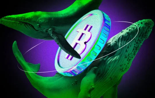 Strengthening Holder Base: Bitcoin HODLing for One Year Reaches All-Time High