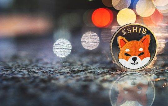 Shiba Inu, Bone prices outperform as Shiba Memu token sale thrives