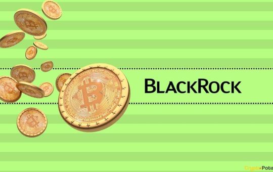 BlackRock CEO Larry Fink Shares Thoughts on a Bitcoin (BTC): Bull Run Ahead?