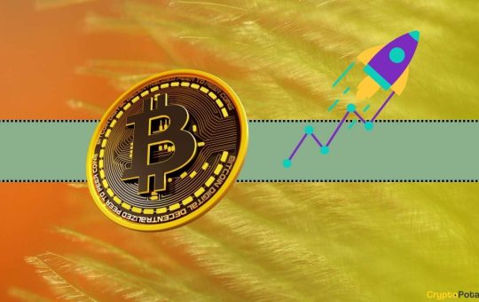 Bitcoin's Price is Pumping in the Past 24 Hours: Here's Why