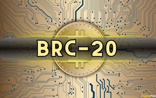 BRC-20 Token Trading Volume Skyrockets 10x Since November 2023, Kaiko Reports