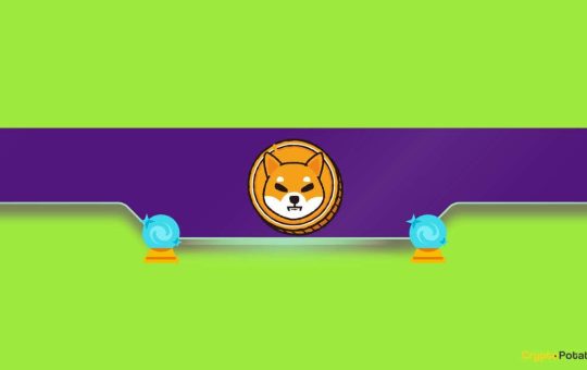 Shiba Inu Price Predictions as SHIB Explodes 100% Weekly